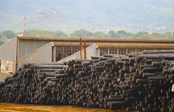 Breakdowns, power outages  hit Border Timbers’ quarterly production