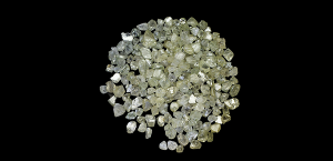 ZCDC begins hunt for new CEO