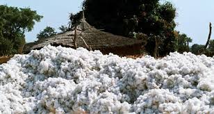 ZFU urges farmers to take up value addition