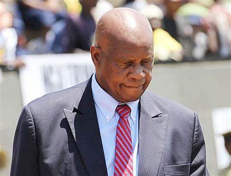 Zanu PF now being run along professional lines-Chinamasa