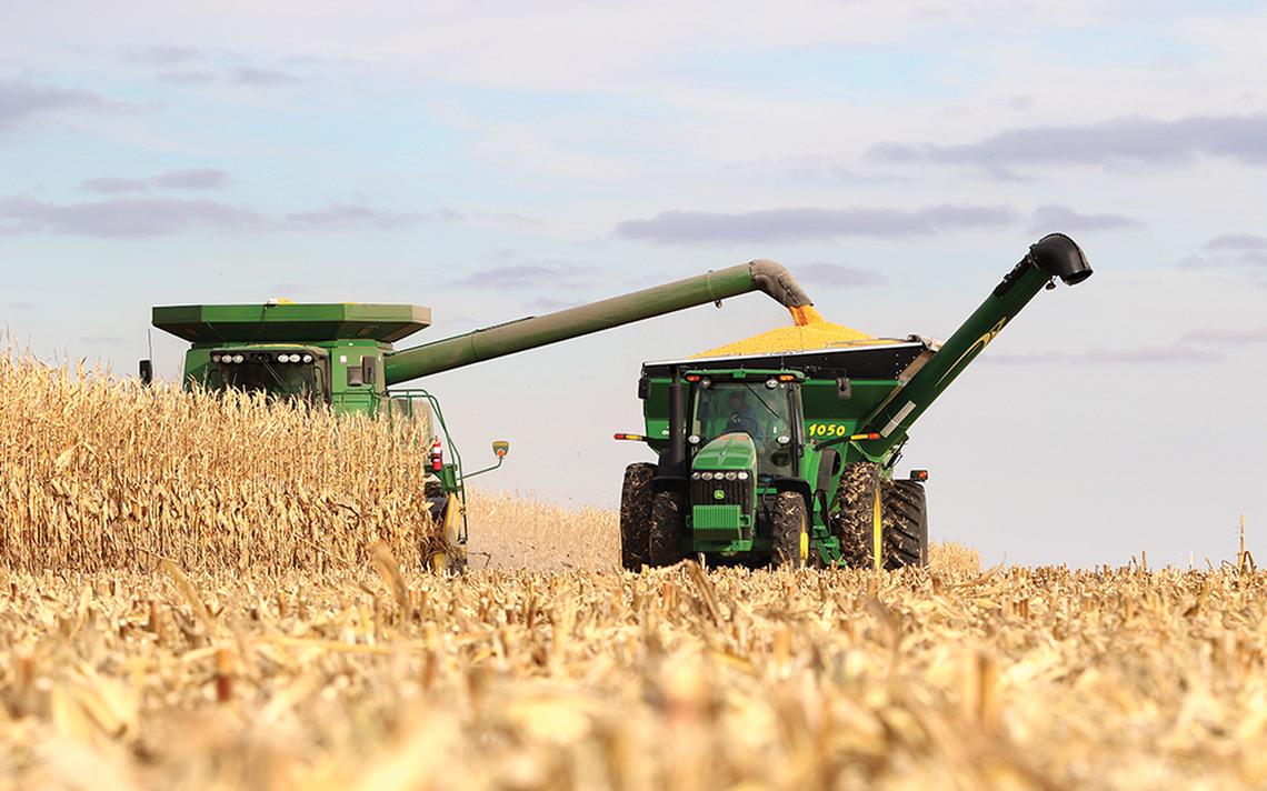 Mwenezi farmers deliver maize to GMB