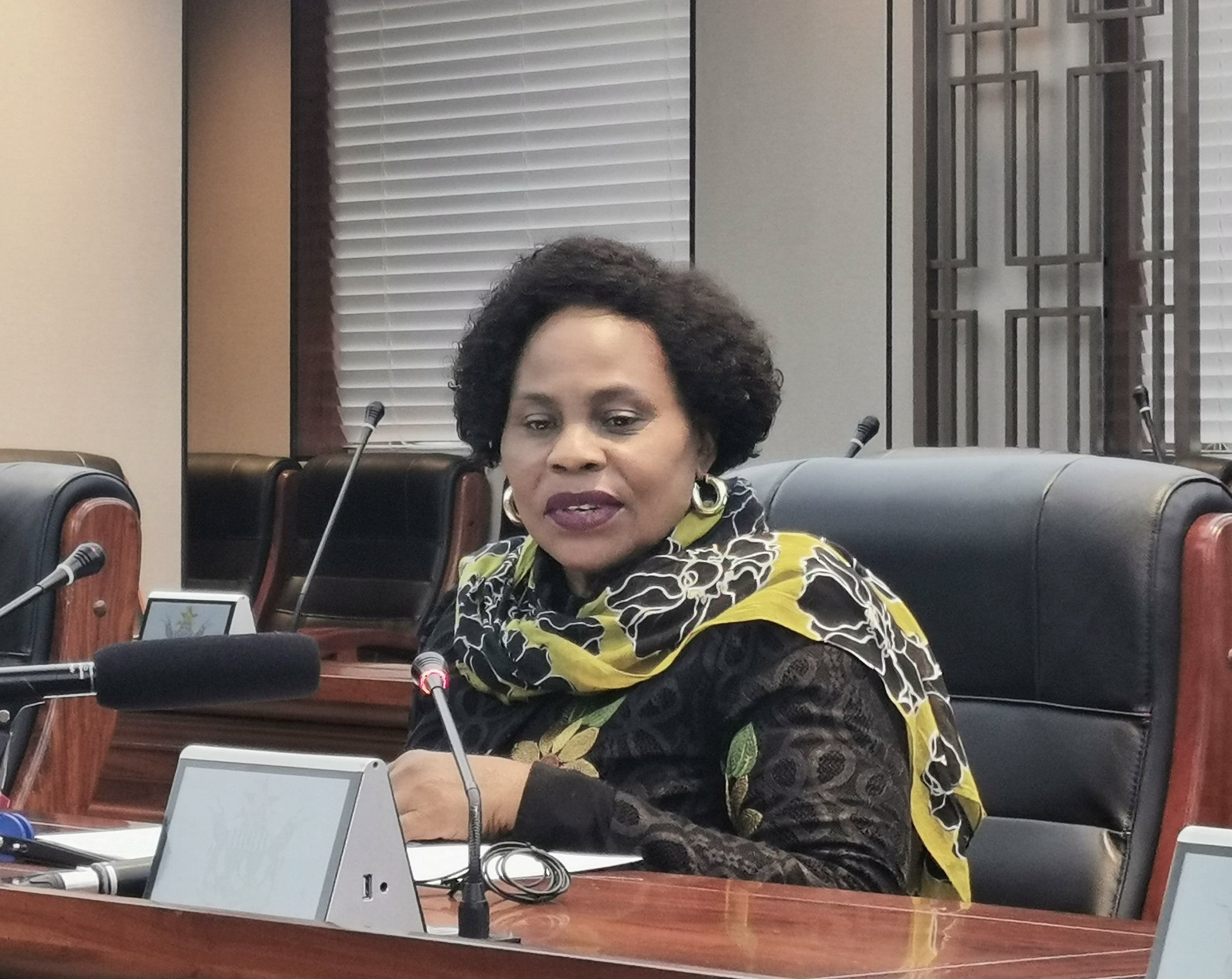 $287 mln pledge for new Mpilo hostels