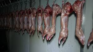 Chinese embassy to assist local rabbit producer secure market for its meat