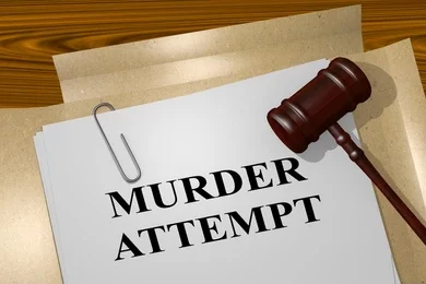 Rushinga man up for attempted murder