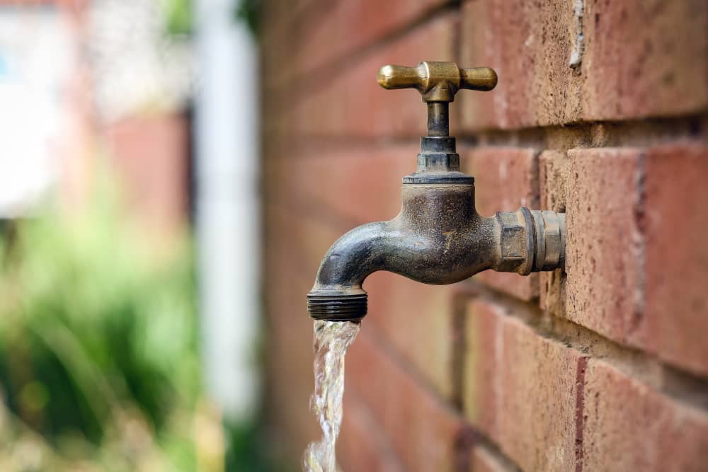 Ngamuve nemvura muGweru