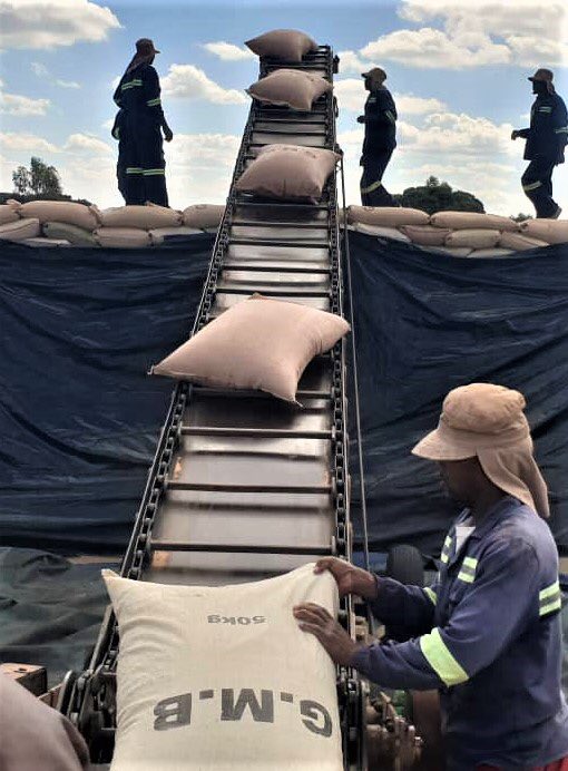 Grain exports to Rwanda in pipeline