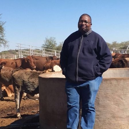 New Kwekwe Mayor promises service delivery