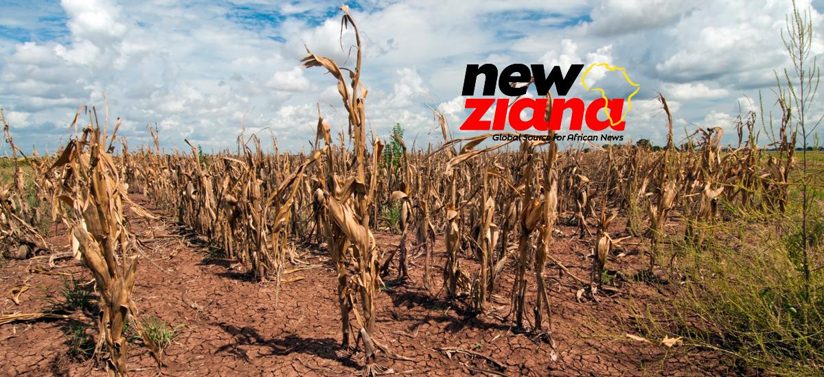 SADC urged to scale up actions to mitigate drought effects