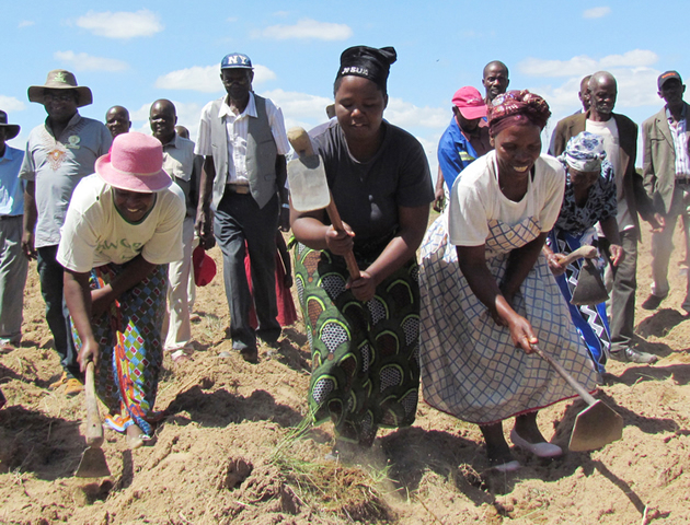 Praise for Zunde ramambo