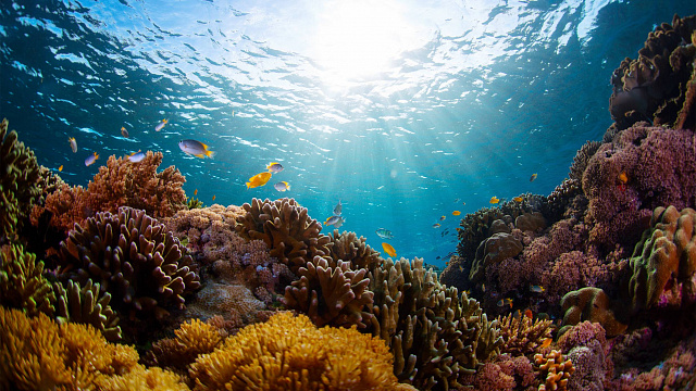 India embarks on historic undersea mineral auction to harness vast offshore resources