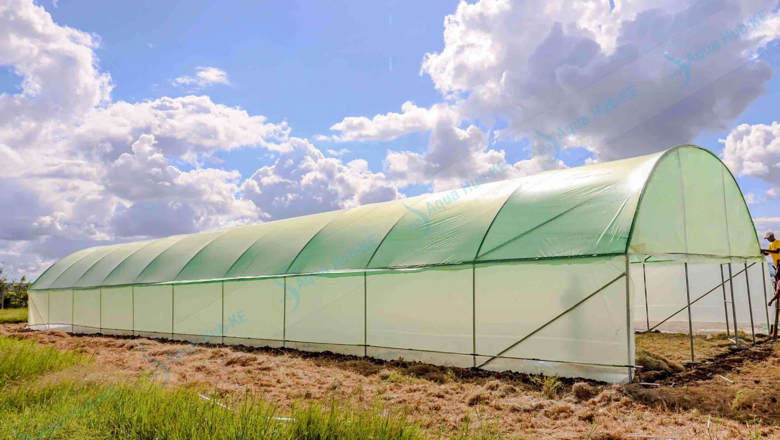 Greenhouse Farming Gains Momentum