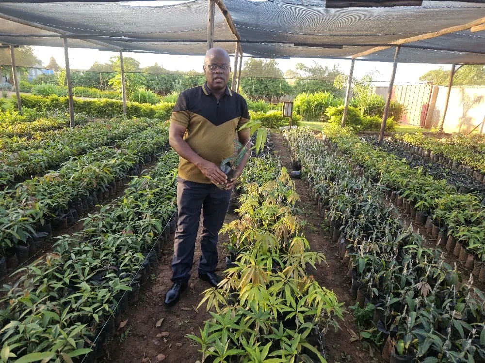 Government to Distribute 18 Million Fruit, Agro-Forestry Trees Nationwide