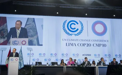 Zimbabwe Secures Major Victory at CoP20