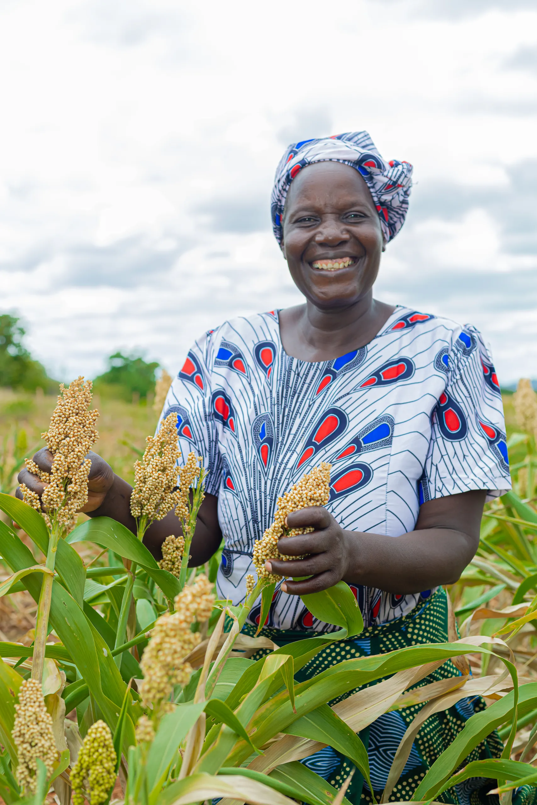 Rushinga smallholder farmers take lead in Conservation Agriculture